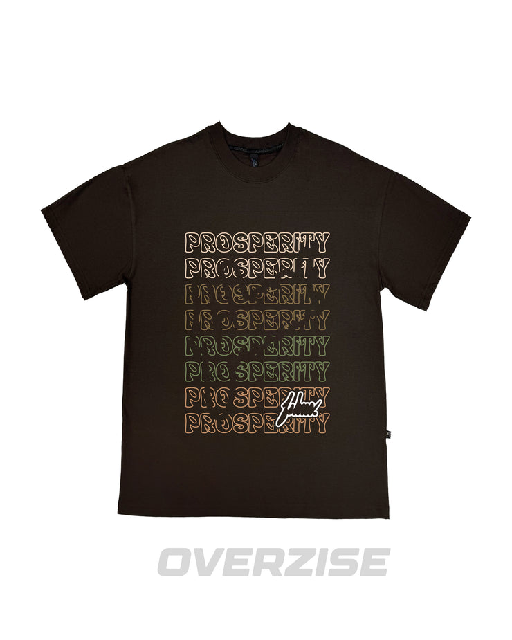 FSHNS OVERSIZE tee | Brown ,Earth Colors | Prosperity Multiply